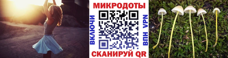 Купить  Липки  Псилоцибиновые грибы Magic Shrooms 