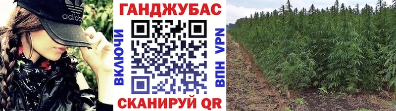 Конопля план  Купить закладки  Липки 